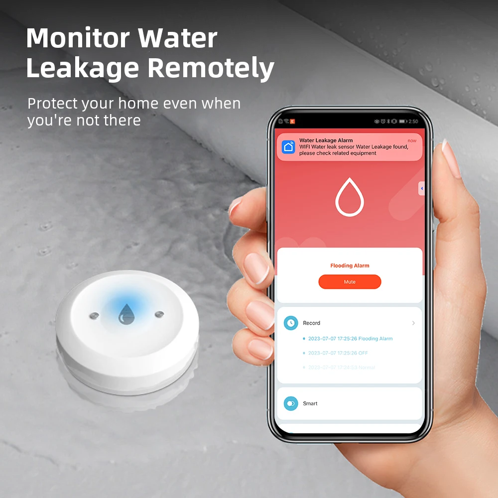 Capteur intelligent de fuite d - Home Security Monitor avis et prix