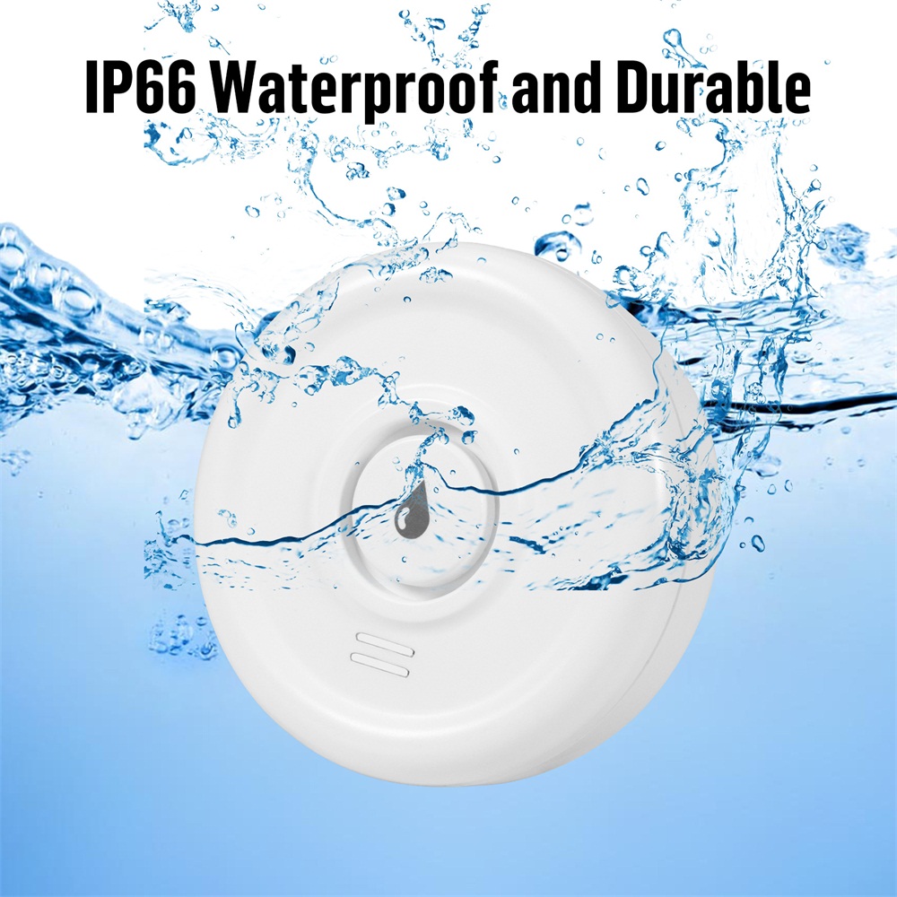 Fuers-Détecteur de fuite d'eau - Home Security Services avis et prix