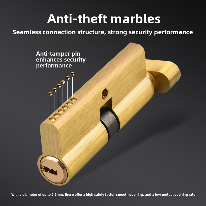 Serrure à cylindre de porte bi - Home Security Services avis et prix