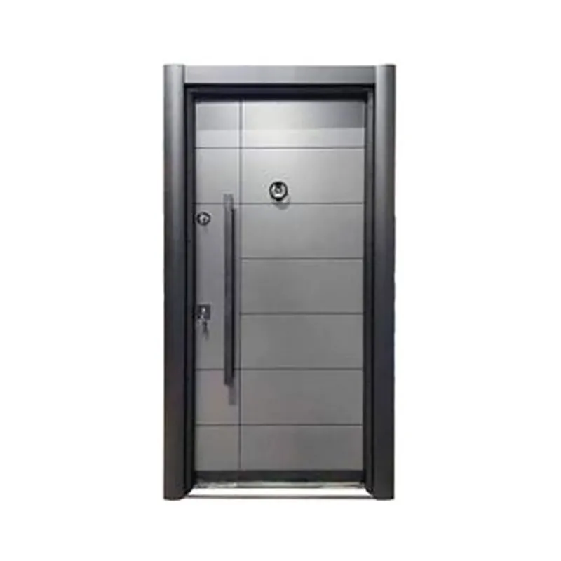 Porte d'entrée en acier antivo - Home Security Project avis et prix