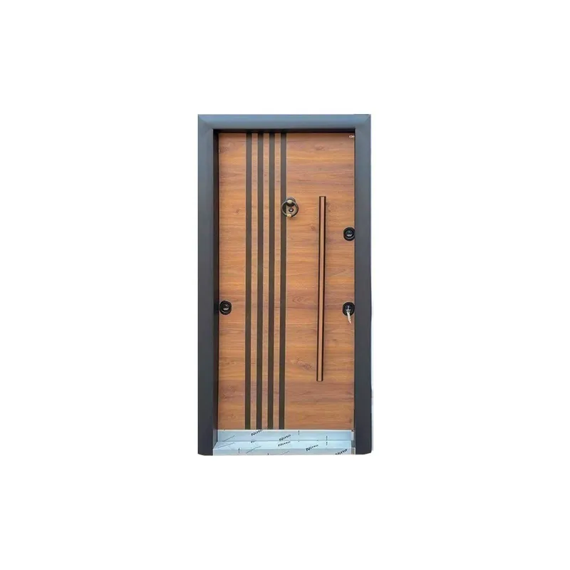 Porte d'entrée en acier antivo - Home Security Project avis et prix